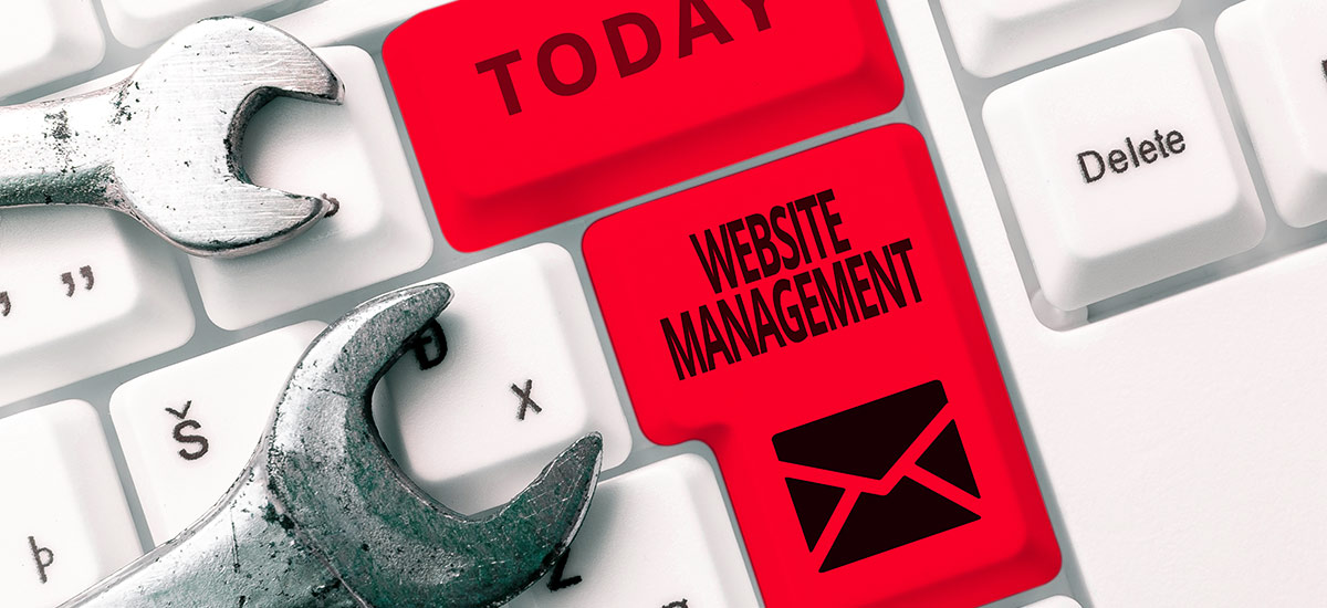 Why Small Businesses Can't Afford to Skip Website Management blog post header image
